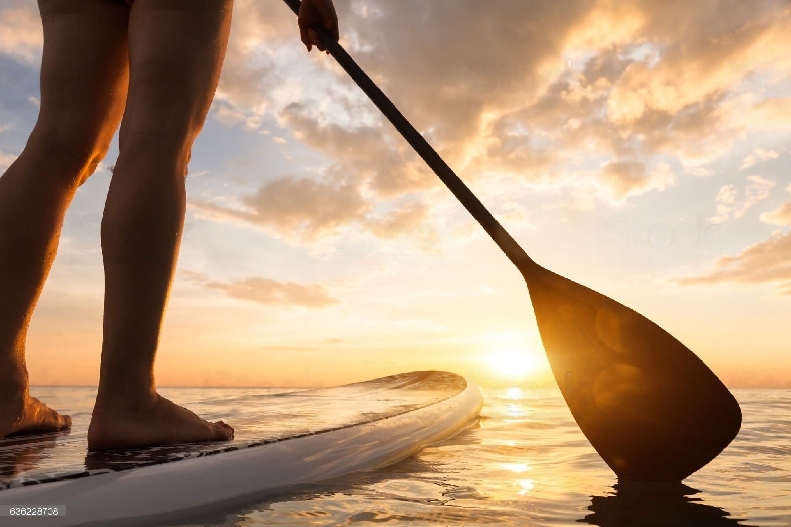 Paddle en Algérie : une activité très populaire par les passionnés algériens en mer